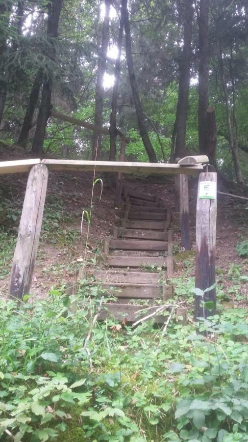 Wolfs Ferienhaus - Natürlich Eifel Blankenheim  Exterior foto